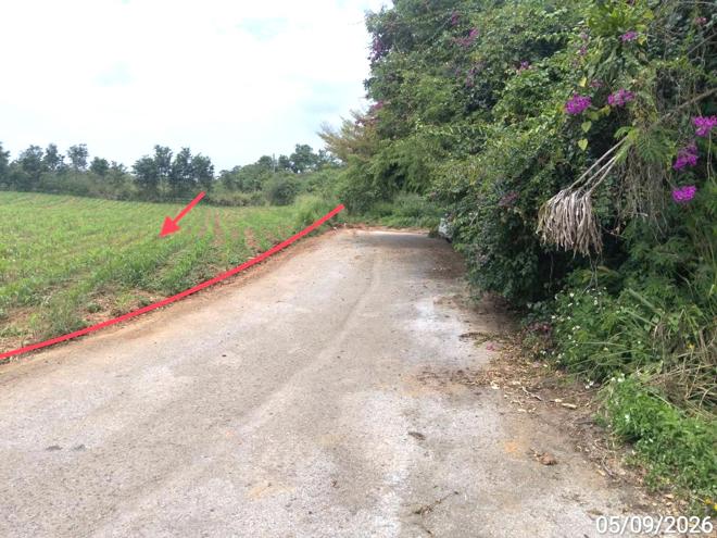 รูป ที่ดินว่างเปล่า 882 ตร.วา ภูริพิมาน ปากช่อง นครราชสีมา 5.7M - รูปที่ 6/19