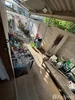 listing thumbnail image 22