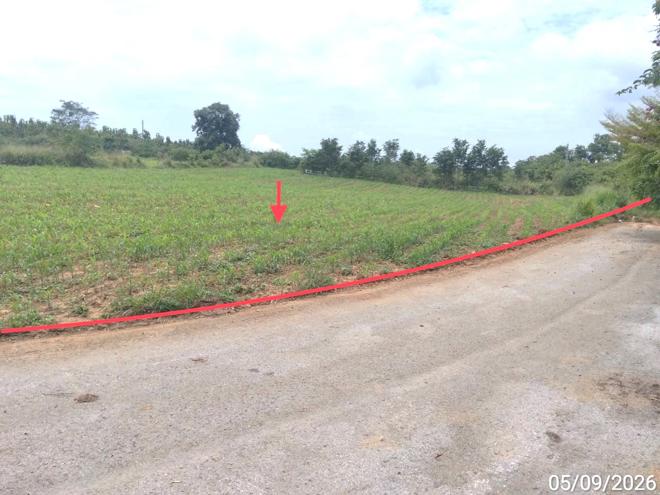 รูป ที่ดินว่างเปล่า 882 ตร.วา ภูริพิมาน ปากช่อง นครราชสีมา 5.7M - รูปที่ 1/19