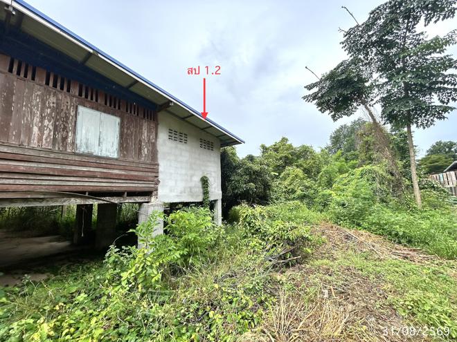 picture HOME 600 Sq.w. Tak Fa Nakhon Sawan for 718,000 - 11/41
