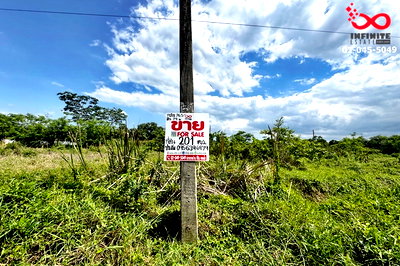 ที่ดิน เขตหนองจอก : ขายที่ดิน 201 ตร.ว. ถนนประชาสำราญ คลองสิบสอง หนองจอก