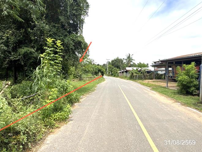 picture LAND 502 Sq.w. Muang Ya Sothon Yasothon for 1.3M - 5/21