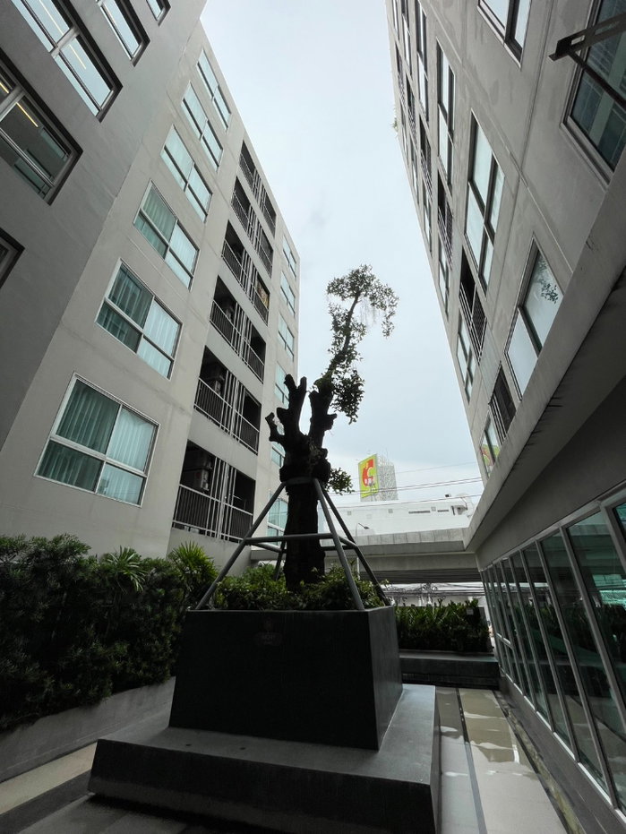 picture For rent Tempo Quad Saphan Mai, Call 099-998-3897 - 22/24