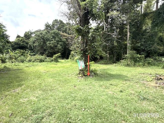 picture LAND 502 Sq.w. Muang Ya Sothon Yasothon for 1.3M - 6/21