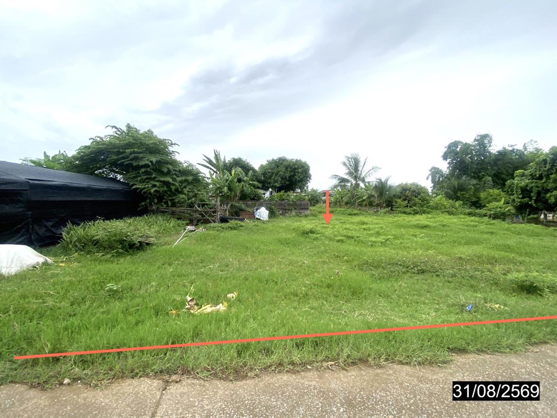 รูป ที่ดินว่างเปล่า 210 ตร.วา วังสามหมอ อุดรธานี 2M - รูปที่ 8/15