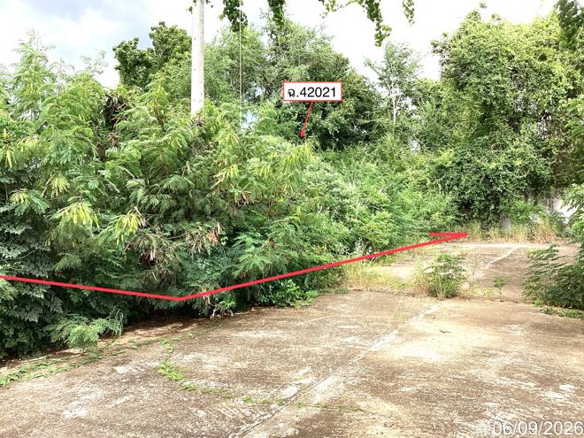 picture LAND 250 Sq.w. Pran Buri Prachaubkirikhan for 2.2M - 4/23