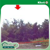 listing thumbnail image 10