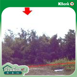 picture LAND 8296.2 Sq.w. Muang Narathiwat Narathiwat for 7.5M - 11/13