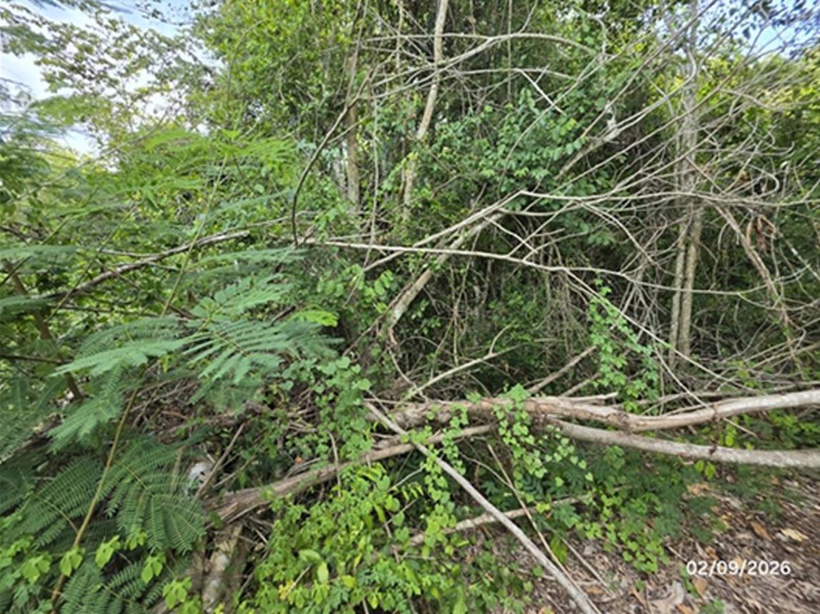 picture LAND 185 Sq.w. Don Sak Surat Thani for 1.1M - 16/23