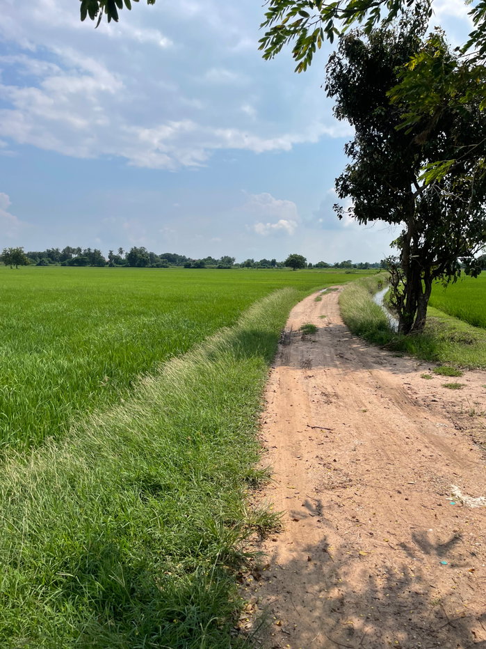 รูป ขายุที่ดินนาแปลงสวย ทำเลบ้านโป่ง ราชบุรี• สนใจติดต่อสอบถามเพิ่มเติม: 0931617984/0623249583 (ป้าน้อย) - รูปที่ 4/10