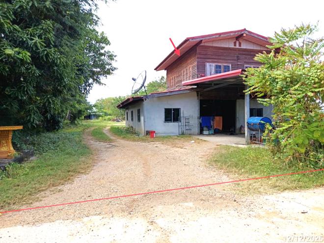 รูป บ้านเดี่ยว 1140 ตร.วา พิมาย นครราชสีมา 1.6M - รูปที่ 1/15