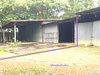 listing thumbnail image 14