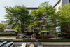 listing thumbnail image 16