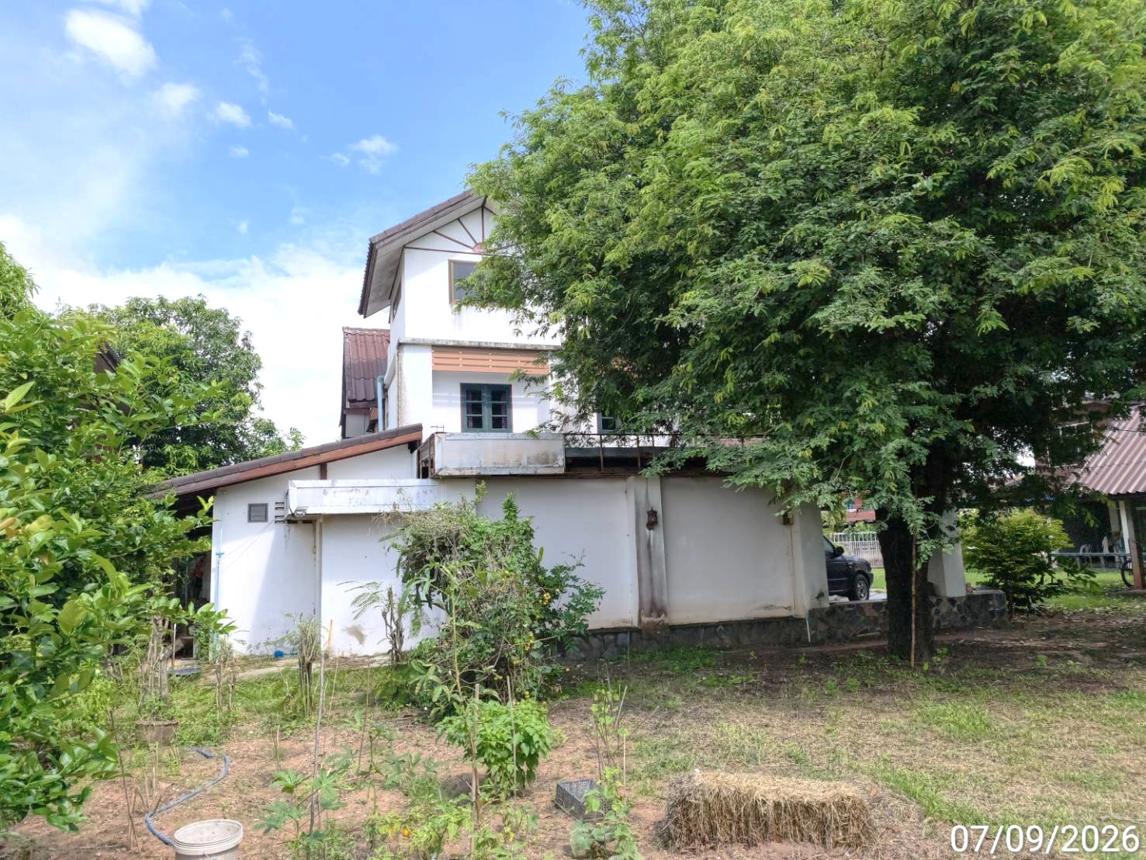 รูป บ้านเดี่ยว 215 ตร.วา กุดรัง มหาสารคาม 1.2M - รูปที่ 16/31
