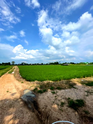 ขายที่ดิน : ขายุที่ดินนาแปลงสวย ทำเลบ้านโป่ง ราชบุรี• สนใจติดต่อสอบถามเพิ่มเติม: 0931617984/0623249583 (ป้าน้อย)