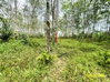 listing thumbnail image 20