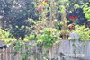 listing thumbnail image 10