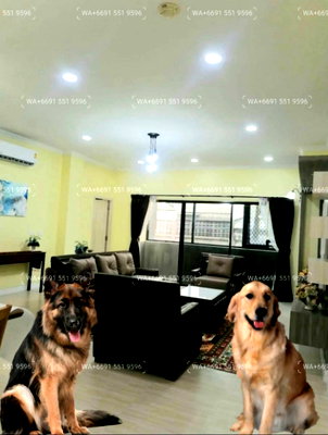 Condos for rent : Video✅Newly Renovated❤️2Bed Pet-Friendly Apartment for Rent Sukhumvit 22-24💙BTS Phromphong/MRT Lumphini-Silom🖤Big Pets ie. Rottweiler/Pitbul