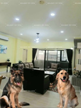 Video✅Newly Renovated❤️2Bed Pet-Friendly Apartment for Rent Sukhumvit 22-24💙BTS Phromphong/MRT Lumphini-Silom🖤Big Pets ie. Rottweiler/Pitbul
