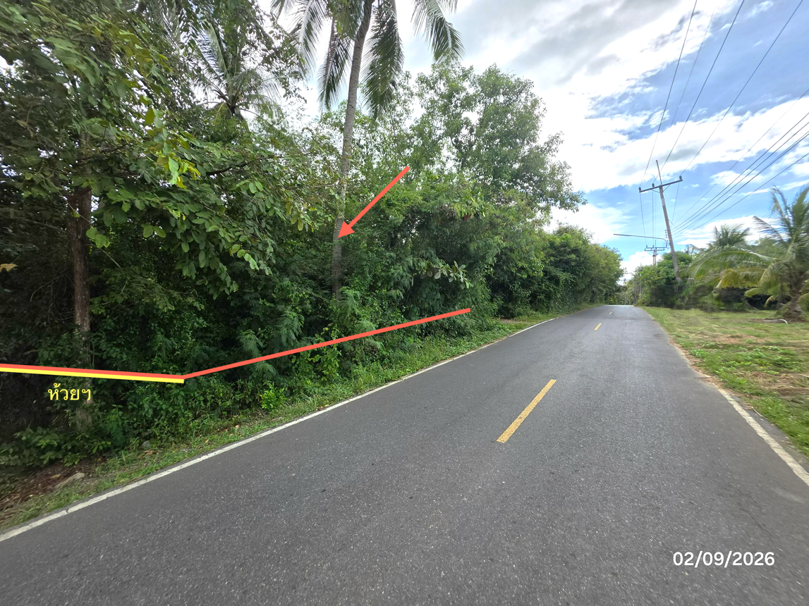 picture LAND 173 Sq.w. Don Sak Surat Thani for 1.3M - 13/23