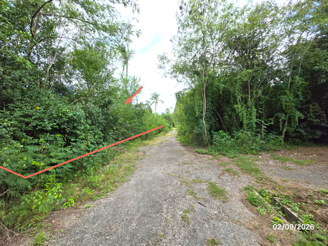 picture LAND 204 Sq.w. Don Sak Surat Thani for 1.3M - 4/19