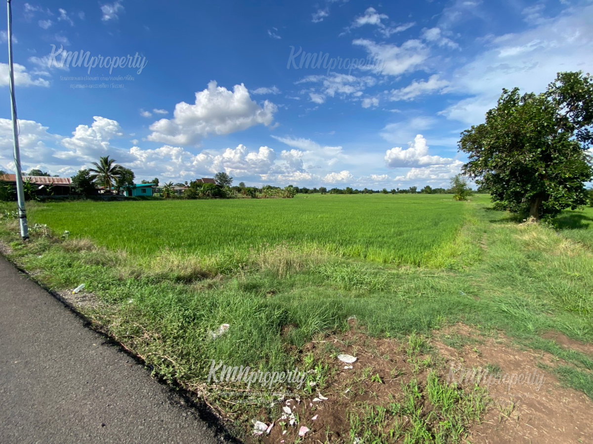picture LAND FOR SALE HIGHWAY 2045 FRONTAGE 5 Rai | THB 4.5 Million - 4/9