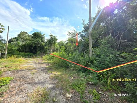 picture LAND 185 Sq.w. Don Sak Surat Thani for 1.1M - 20/23