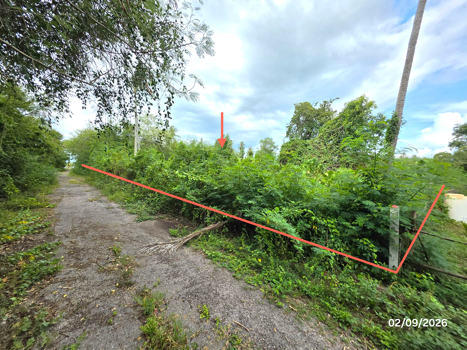 picture LAND 204 Sq.w. Don Sak Surat Thani for 1.3M - 16/19