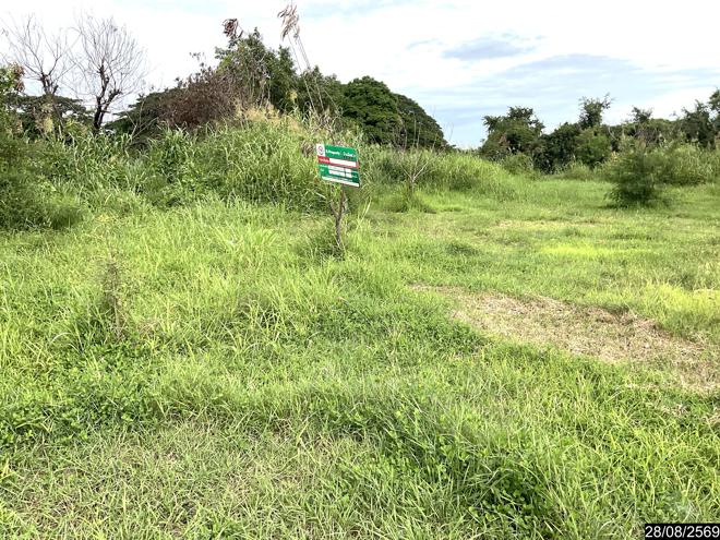 รูป บ้านเดี่ยว 900 ตร.วา เมืองขอนแก่น ขอนแก่น 2.2M - รูปที่ 6/19