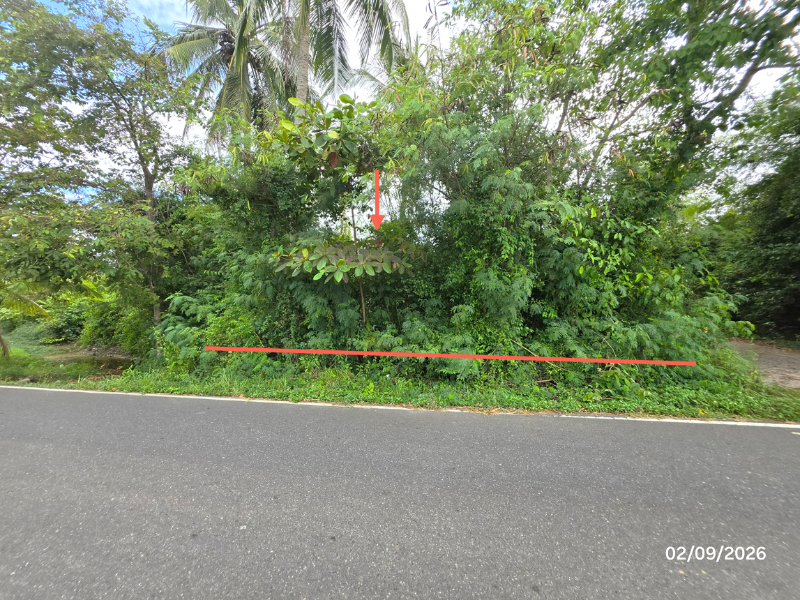 picture LAND 173 Sq.w. Don Sak Surat Thani for 1.3M - 11/23