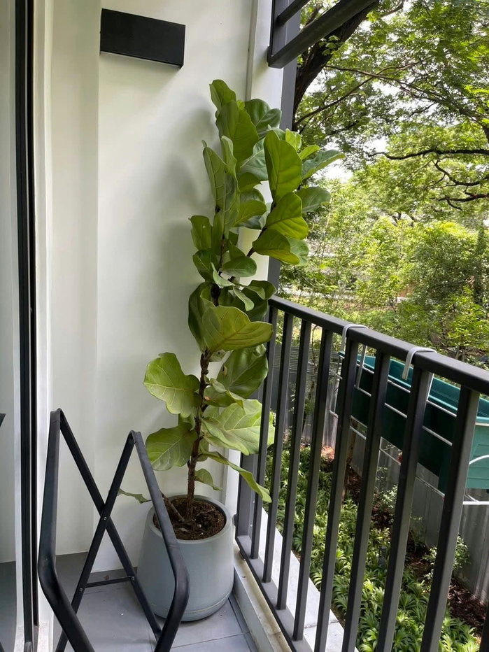 รูป 🍃 ด่วน! ห้องเหลือน้อยมากแล้ว - ให้เช่าคอนโด Escent Park Ville Condo ทำเลดีมาก เดินทางสะดวก ติดห้างสรรพสินค้าเซ็นทรัลเฟสติวัล และอื่นๆอีกมากมาย - รูปที่ 4/13
