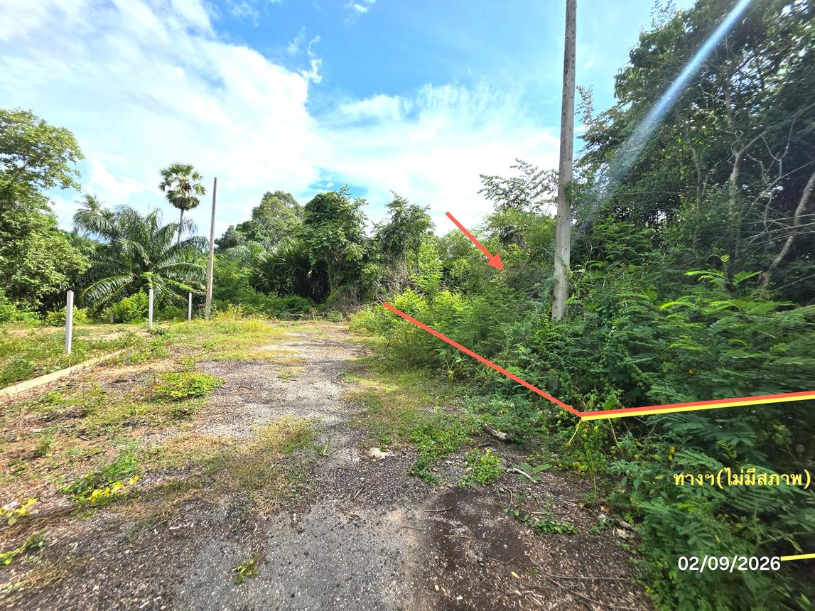 picture LAND 185 Sq.w. Don Sak Surat Thani for 1.1M - 12/23
