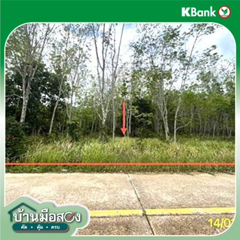 รูป ที่ดินว่างเปล่า 2000 ตร.วา ย่านตาขาว ตรัง 2.5M - รูปที่ 23/25