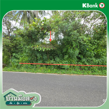 picture LAND 173 Sq.w. Don Sak Surat Thani for 1.3M - 21/23