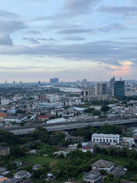 รูป S100048 The Tree RIO - รูปที่ 1/8