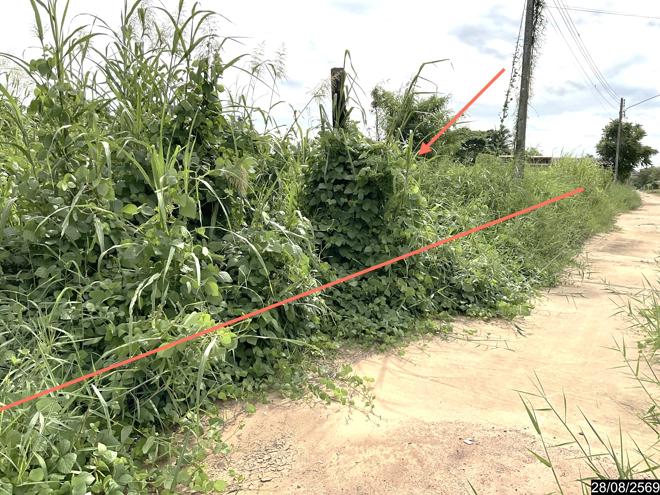 รูป บ้านเดี่ยว 900 ตร.วา เมืองขอนแก่น ขอนแก่น 2.2M - รูปที่ 5/19
