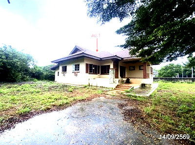 บ้านเดี่ยว โพนทอง ร้อยเอ็ด : บ้านเดี่ยว 368 ตร.วา โพนทอง ร้อยเอ็ด 3.8M