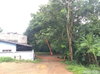 listing thumbnail image 22