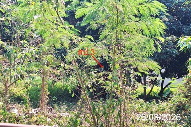 picture HOME 412.2 Sq.w. Muang Lampang Lamphang for 4.9M - 4/17