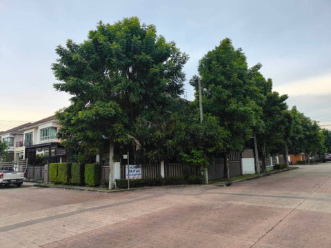 ND1066 For sale Life Bangkok Boulevard Pinklao-Petchkasem