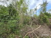listing thumbnail image 18