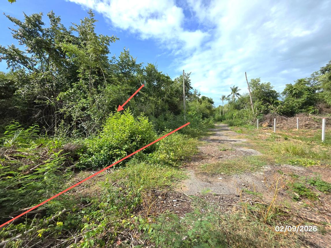 picture LAND 185 Sq.w. Don Sak Surat Thani for 1.1M - 13/23