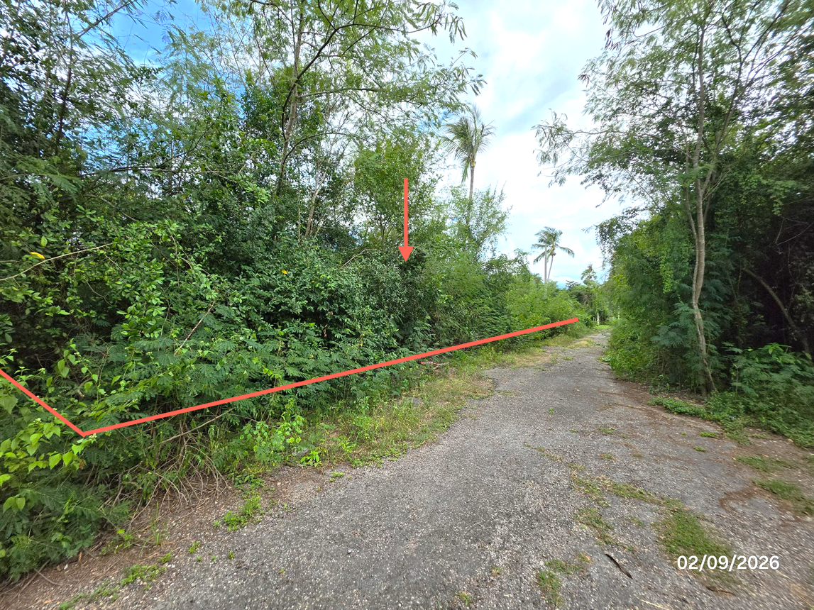 picture LAND 204 Sq.w. Don Sak Surat Thani for 1.3M - 10/19