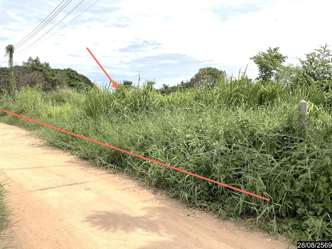 รูป บ้านเดี่ยว 900 ตร.วา เมืองขอนแก่น ขอนแก่น 2.2M - รูปที่ 11/19
