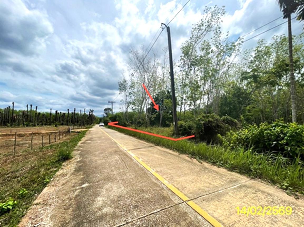 รูป ที่ดินว่างเปล่า 2000 ตร.วา ย่านตาขาว ตรัง 2.5M - รูปที่ 13/25