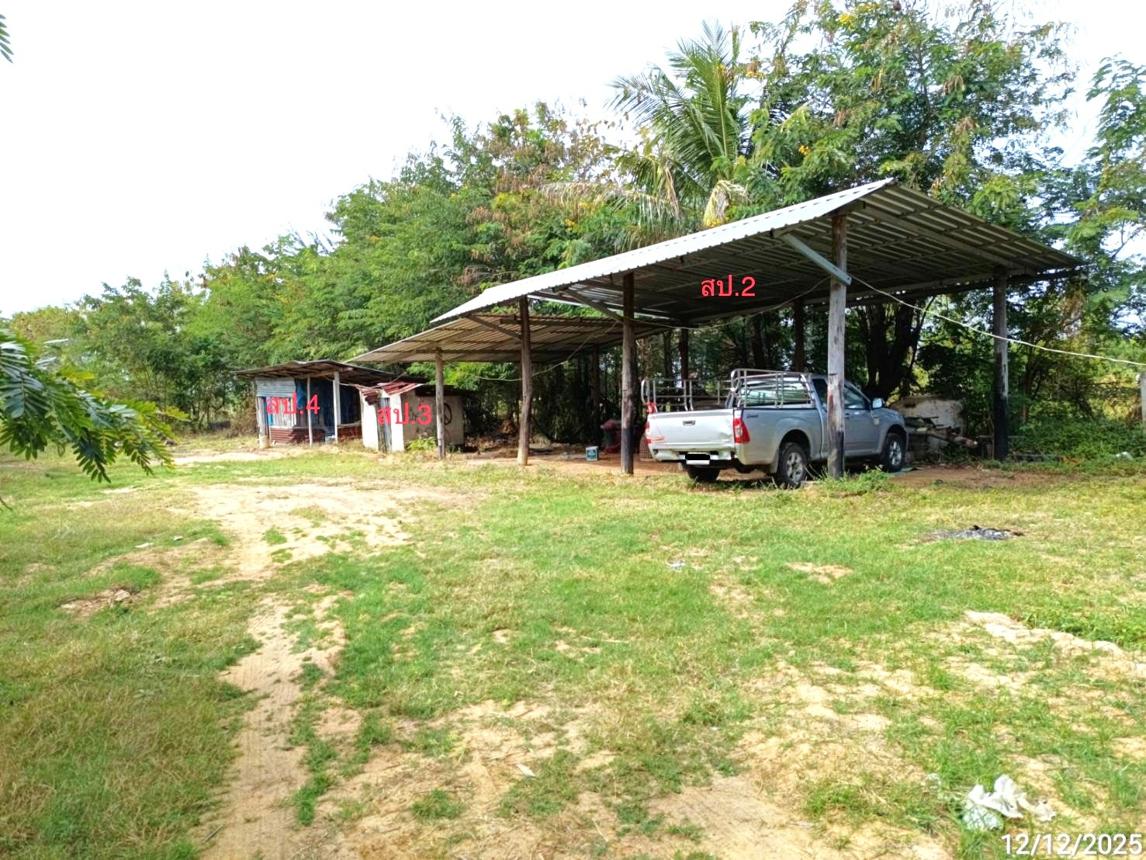 รูป บ้านเดี่ยว 1140 ตร.วา พิมาย นครราชสีมา 1.6M - รูปที่ 9/15