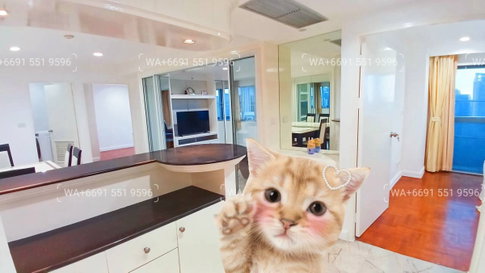 NEW‼️2Bed 1Bath +1Storage🐶Pet-Friendly Condo for Rent Sukhumvit✨Near BTS Ploenchit, MRT Petchaburi🔰 We can show all available units here