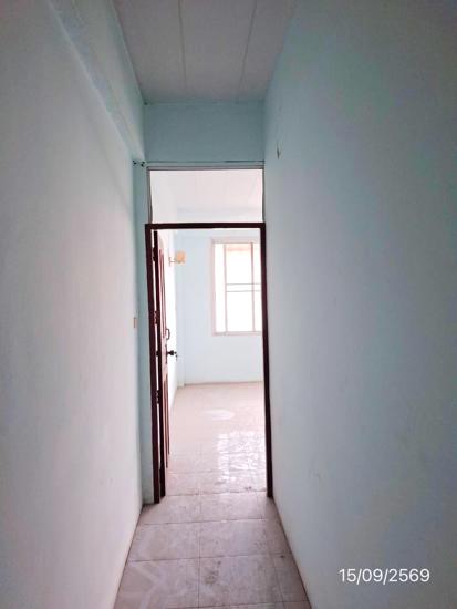 picture SHOP HOUSE 16.9 Sq.w. Muang Surat Thani Surat Thani for 3.6M - 11/45