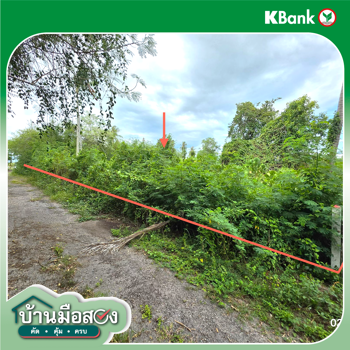 picture LAND 204 Sq.w. Don Sak Surat Thani for 1.3M - 17/19