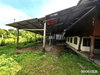 listing thumbnail image 31